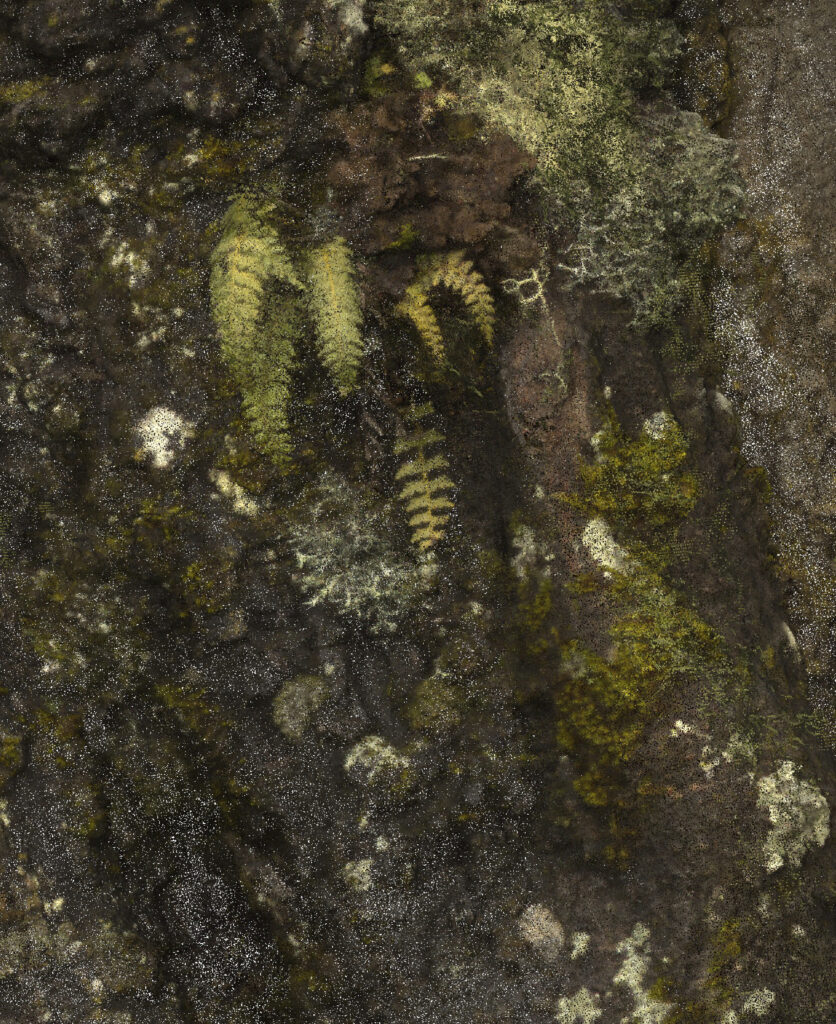 The comprehensive group exhibition Into the Woods deals with one of the world’s most vital ecosystems: the forest. Sixteen contemporary artists reflect on the forest as a habitat, its ecological processes, as well as the threats it faces. The exhibition was part of Klima Biennale Wien 2024.